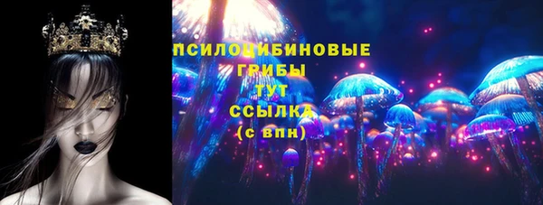 твердый Арсеньев
