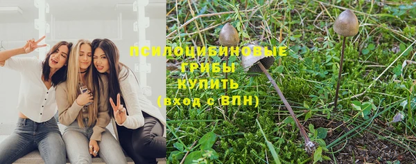 дживик Армянск