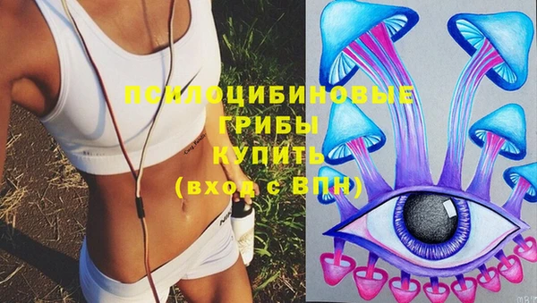 дживик Армянск