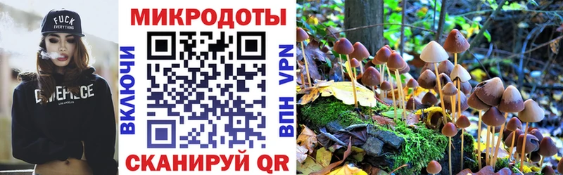 как найти   Пушкино  Галлюциногенные грибы Psilocybe 